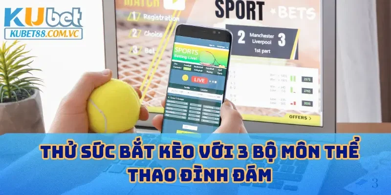 Thử sức bắt kèo với 3 bộ môn thể thao đình đám
