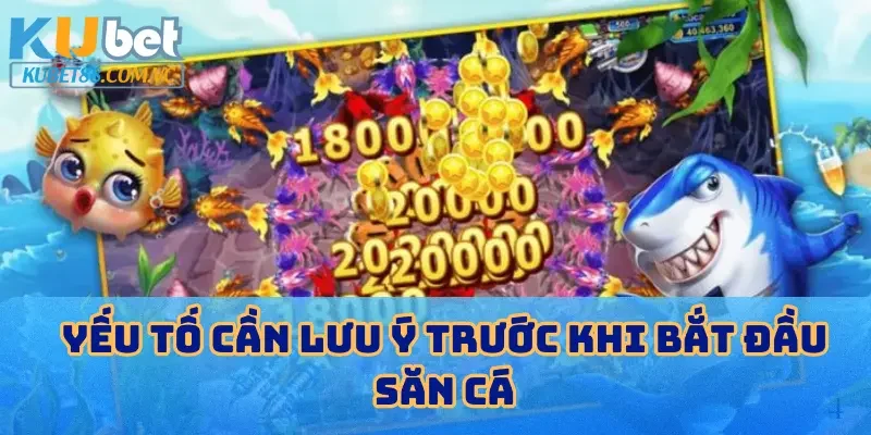 Yếu tố cần lưu ý trước khi bắt đầu săn cá